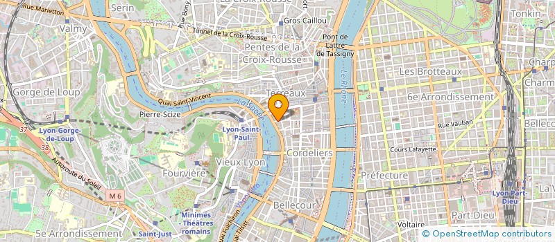 localisation de l'entreprise MONSIEUR DAMIEN SCHAHMANECHE à LYON