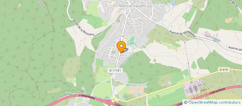 localisation de l'entreprise MONSIEUR DAMIEN SCHMUTZ  MONTARNAUD