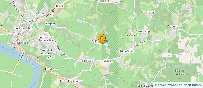 localisation de l'entreprise MONSIEUR DAMIEN SUILS PORTE  LANGOIRAN