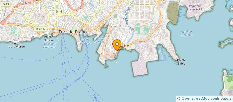localisation de l'entreprise MONSIEUR DAMIEN SYLVIUS  FORT-DE-FRANCE