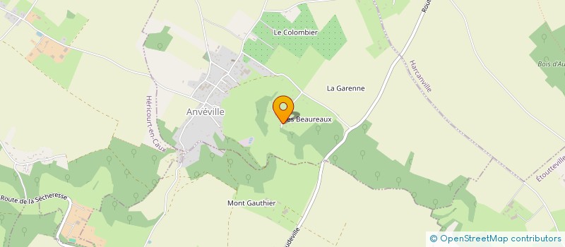 localisation de l'entreprise MONSIEUR DAMIEN TRONGUET MARTY  ANVEVILLE