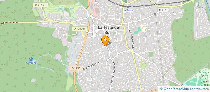 localisation de l'entreprise MONSIEUR DAMIEN VATICAN à LA TESTE-DE-BUCH