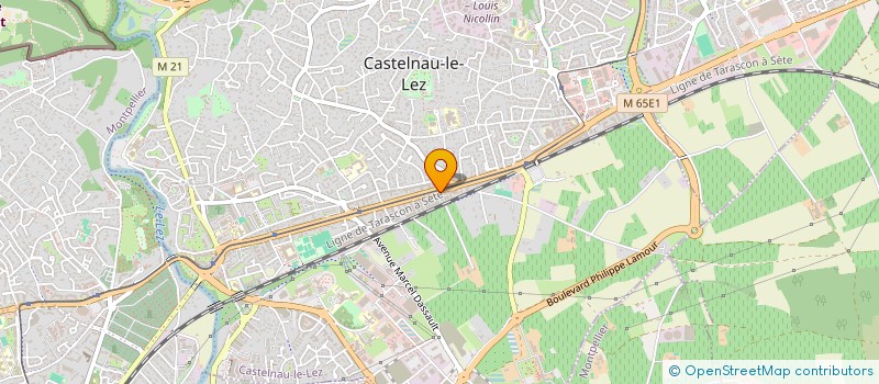 localisation de l'entreprise MONSIEUR DAMIEN VIEILLEDENT à CASTELNAU-LE-LEZ