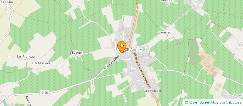 localisation de l'entreprise MONSIEUR DAMIEN VINET  SALLES-D'ANGLES