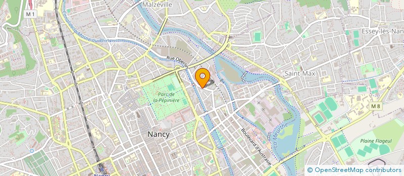 localisation de l'entreprise MONSIEUR DAMIEN VIOLINI  NANCY