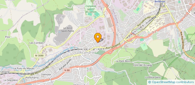 localisation de l'entreprise MONSIEUR DAMUS MOHAMED  LA RICAMARIE