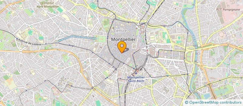 localisation de l'entreprise MONSIEUR DAN GOYER  MONTPELLIER