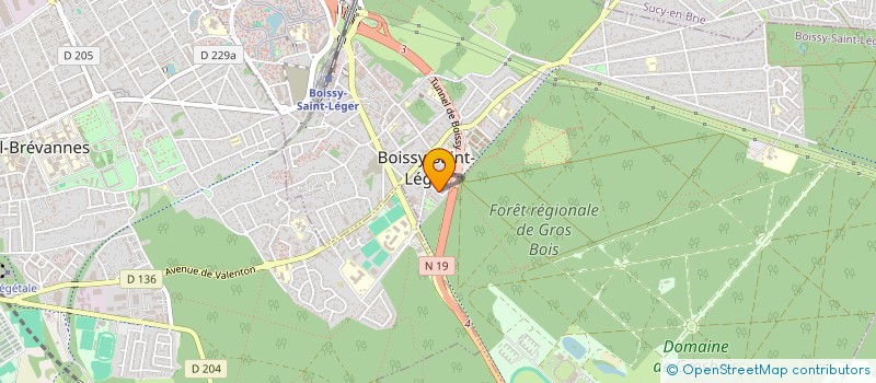 localisation de l'entreprise MONSIEUR DAN MOROSAN à BOISSY-SAINT-LEGER