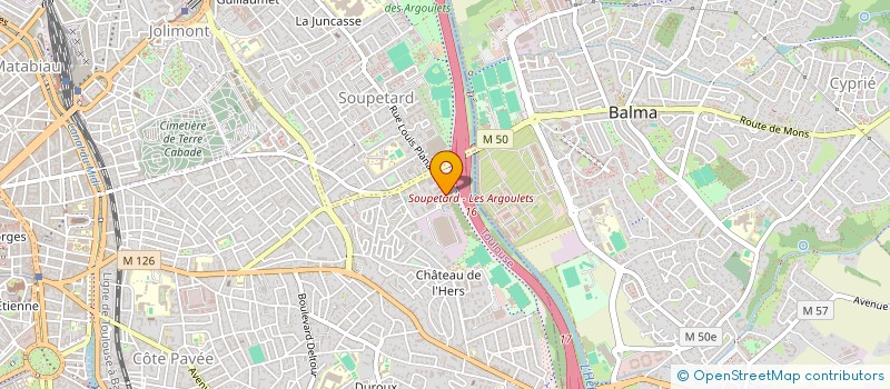 localisation de l'entreprise MONSIEUR DAN ROMAN  TOULOUSE