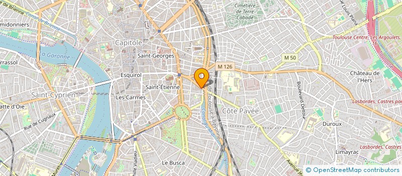 localisation de l'entreprise MONSIEUR DAN VERMOSEN à TOULOUSE