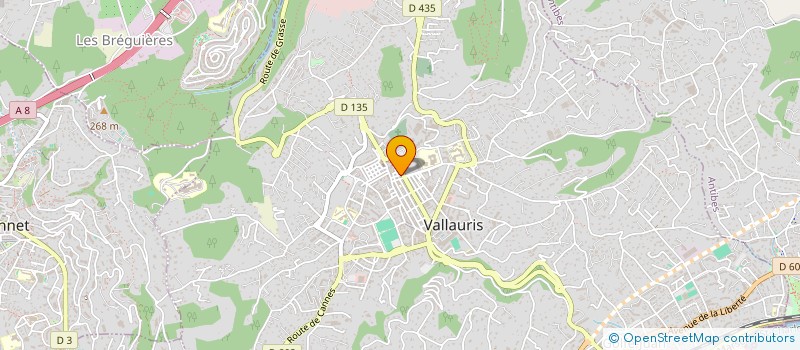 localisation de l'entreprise MONSIEUR DANAIL TRABELSI à VALLAURIS