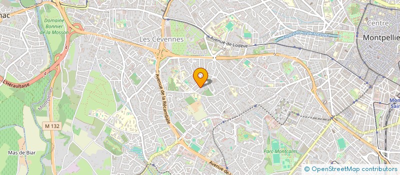 localisation de l'entreprise MONSIEUR DANIEL AMRAM à MONTPELLIER