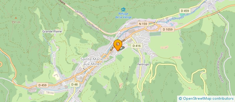 localisation de l'entreprise MONSIEUR DANIEL BARI  SAINTE-MARIE-AUX-MINES