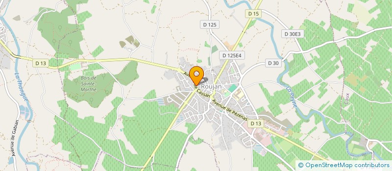 localisation de l'entreprise MONSIEUR DANIEL BARTHES  ROUJAN