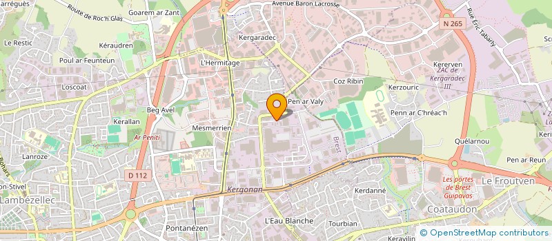 localisation de l'entreprise MONSIEUR DANIEL BERTHIER à BREST