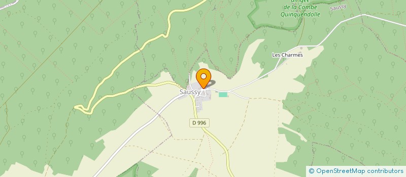 localisation de l'entreprise MONSIEUR DANIEL BESSON  SAUSSY