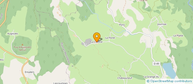 localisation de l'entreprise MONSIEUR DANIEL BOUTIN à RIOM-ES-MONTAGNES