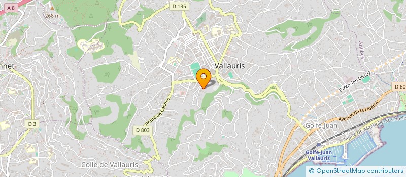localisation de l'entreprise MONSIEUR DANIEL BRANCHARD à VALLAURIS