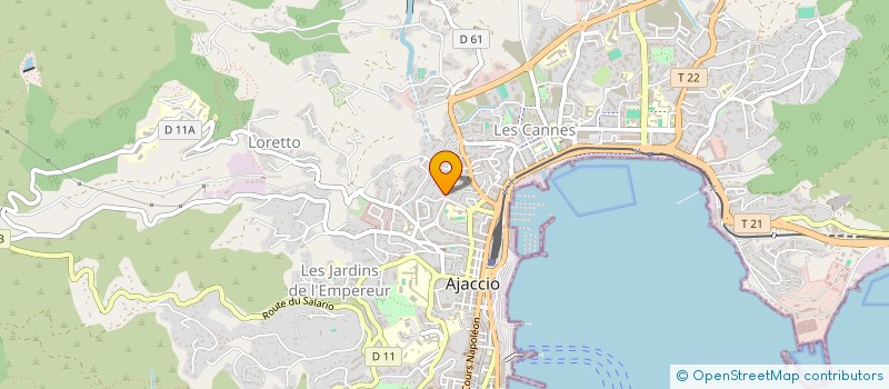 localisation de l'entreprise MONSIEUR DANIEL BRASSET à AJACCIO