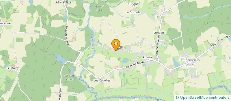 localisation de l'entreprise MONSIEUR DANIEL BRIDE  SAVIGNY-SUR-SEILLE