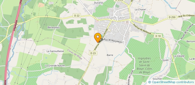 localisation de l'entreprise MONSIEUR DANIEL CANTIN à SAINT-SAVIN