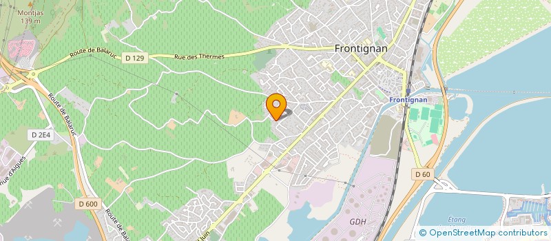 localisation de l'entreprise MONSIEUR DANIEL CHAMOIS à FRONTIGNAN