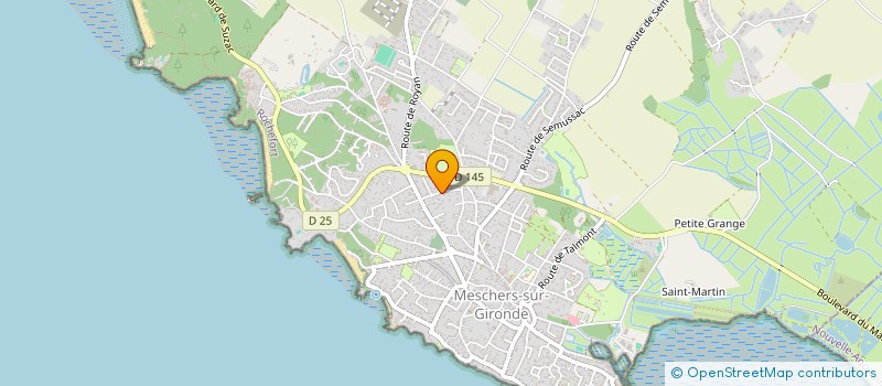 localisation de l'entreprise MONSIEUR DANIEL DA SILVA  MESCHERS-SUR-GIRONDE