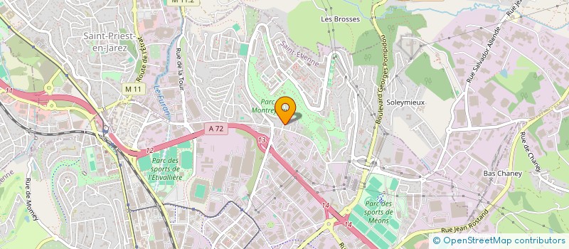 localisation de l'entreprise MONSIEUR DANIEL-DAVID MIHAI  SAINT-ETIENNE