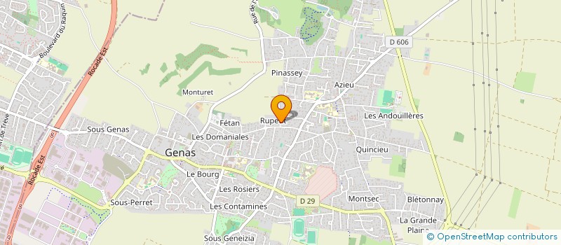 localisation de l'entreprise MONSIEUR DANIEL DE OLIVEIRA  GENAS