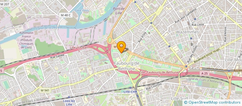 localisation de l'entreprise MONSIEUR DANIEL DEWILDEMAN à LILLE