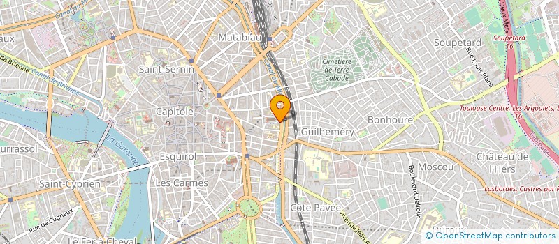 localisation de l'entreprise MONSIEUR DANIEL DOUBOVETZKY à TOULOUSE