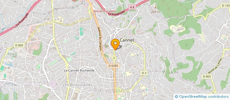 localisation de l'entreprise MONSIEUR DANIEL DRAGOMIR à LE CANNET