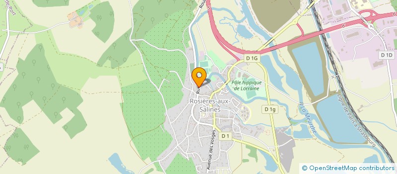 localisation de l'entreprise MONSIEUR DANIEL FLEISCHHAUER  ROSIERES-AUX-SALINES