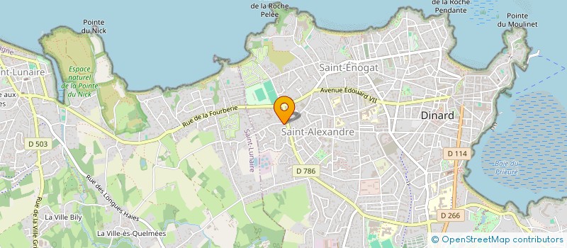 localisation de l'entreprise MONSIEUR DANIEL GEANT  DINARD