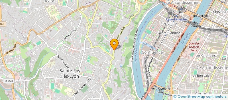 localisation de l'entreprise MONSIEUR DANIEL GOUGEON  SAINTE-FOY-LES-LYON