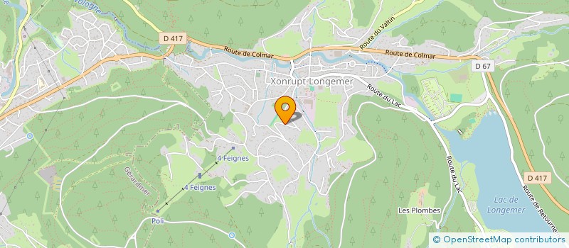 localisation de l'entreprise MONSIEUR DANIEL GRANDEMANGE  XONRUPT-LONGEMER