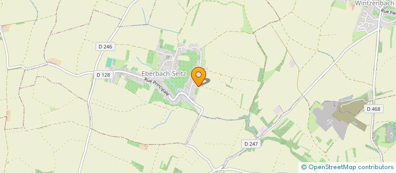 localisation de l'entreprise MONSIEUR DANIEL GRAUSS  EBERBACH-SELTZ