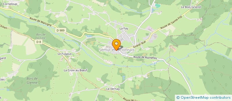 localisation de l'entreprise MONSIEUR DANIEL LAROCHE  SAINT-JULIEN-DE-JONZY