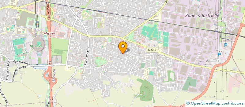 localisation de l'entreprise MONSIEUR DANIEL LEBONGO  MEYZIEU