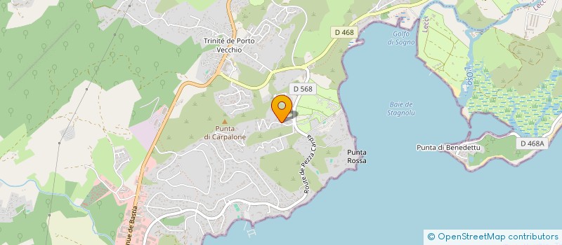 localisation de l'entreprise MONSIEUR DANIEL LESNE à PORTO-VECCHIO