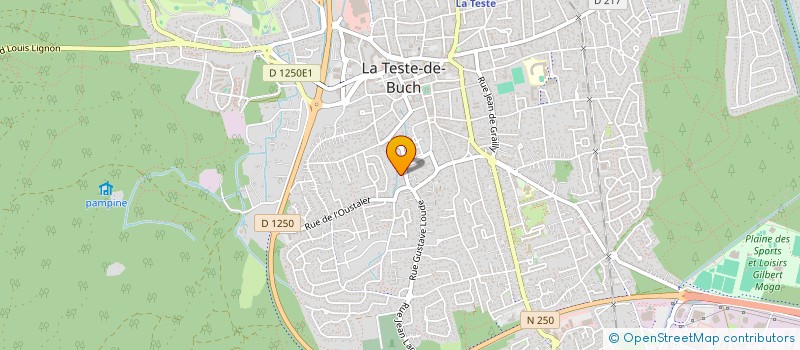 localisation de l'entreprise MONSIEUR DANIEL LINARES à LA TESTE-DE-BUCH