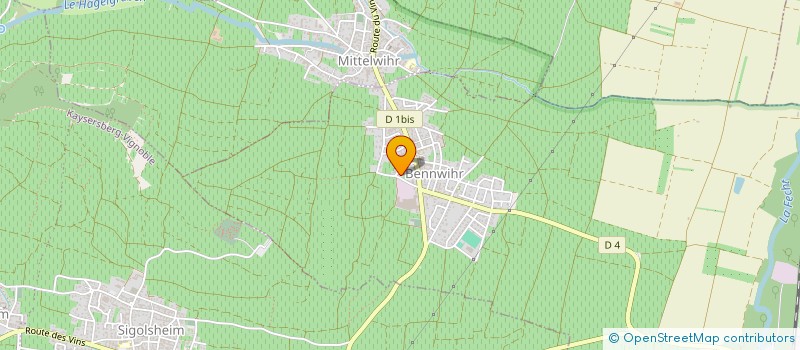 localisation de l'entreprise MONSIEUR DANIEL MARTIN  WINTZENHEIM