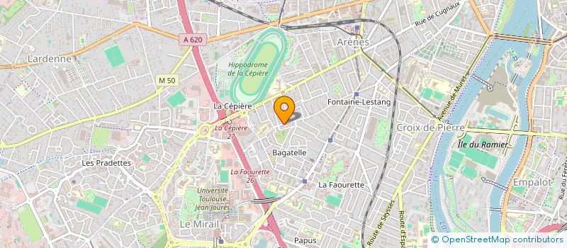 localisation de l'entreprise MONSIEUR DANIEL MASSON  TOULOUSE