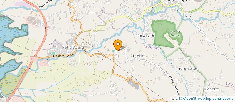 localisation de l'entreprise MONSIEUR DANIEL MAYAUD à RIVIERE-SALEE