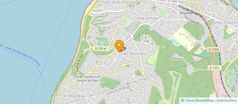 localisation de l'entreprise MONSIEUR DANIEL MICHON à ARCACHON