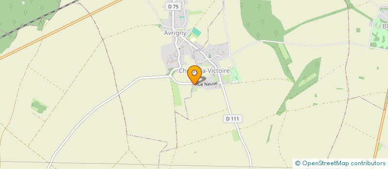 localisation de l'entreprise MONSIEUR DANIEL MOLINE  CHOISY-LA-VICTOIRE