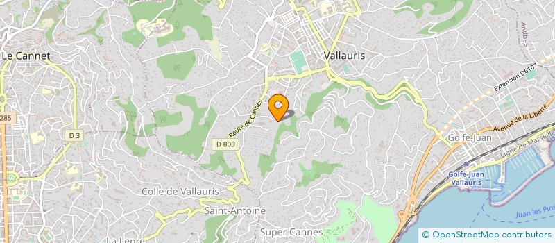 localisation de l'entreprise MONSIEUR DANIEL NASSO à VALLAURIS