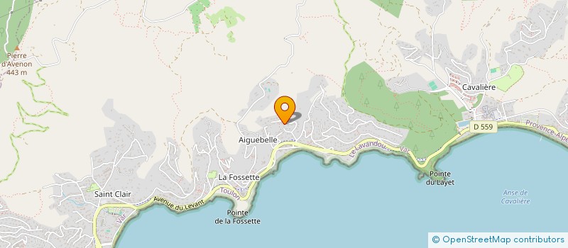localisation de l'entreprise MONSIEUR DANIEL NOSSENKO à LE LAVANDOU