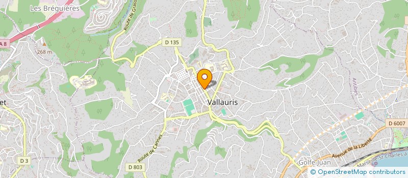 localisation de l'entreprise MONSIEUR DANIEL OLIVERI  VALLAURIS