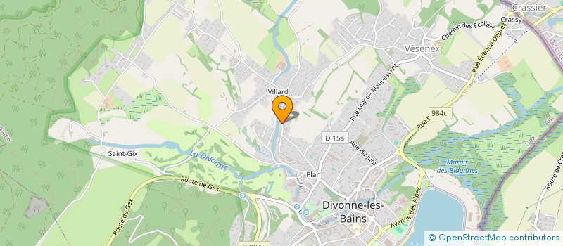 localisation de l'entreprise MONSIEUR DANIEL PATROIX à DIVONNE-LES-BAINS